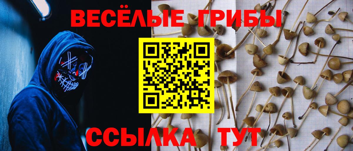 Галлюциногенные грибы Magic Shrooms  Вход с VPN  где найти   Гусев 